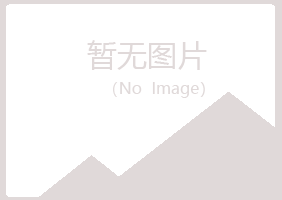 兰山区冰兰咨询有限公司